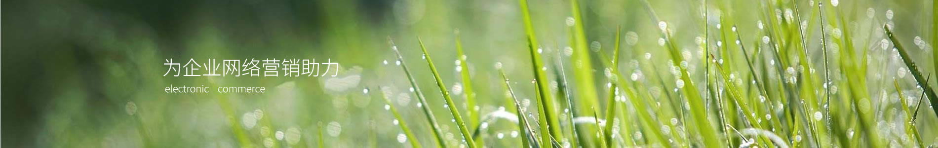 ԪɿƼݸ޹˾